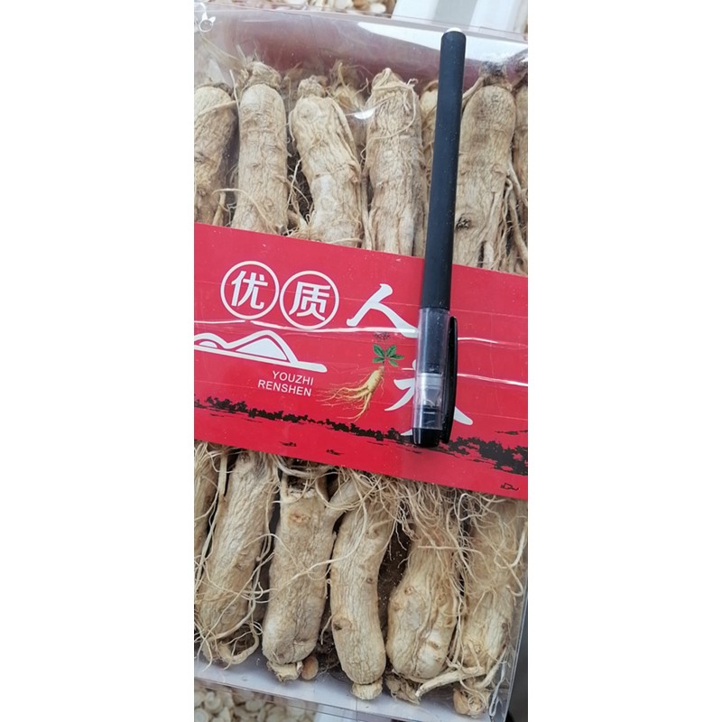 White Ginseng Root Factory - ISO9001 Certified Big Size Raw Dried Processing