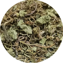 Cat's-foot Herb Factory - Health Care Tea Raw Material Dried Hydrocotyle Asiatica