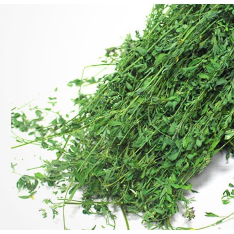 Dried Plants Cuts Manufacturer - Natural Pure Chilean Clover Lucerne Buffalo Grass