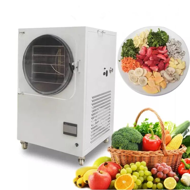 Freeze-drying Equipment Manufacturer - Industrial Food Fruit Vacuum Freeze Dryer Household Vegetable Freeze Dryer