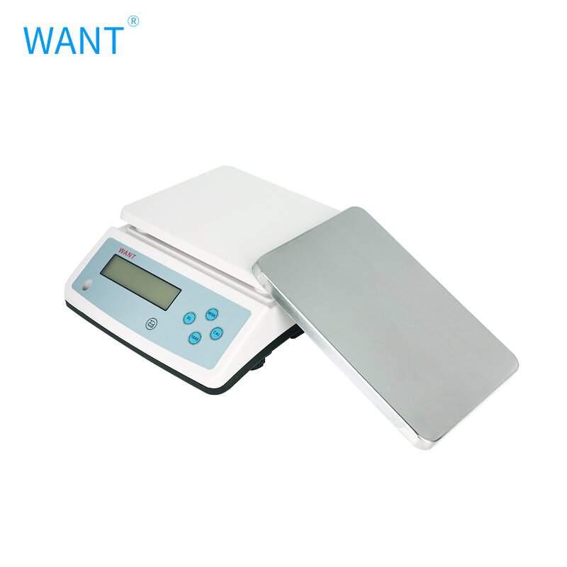 Electronic Weighing Scale Manufacturer - 1g 0.1g High Precision Industrial Table Bench Scale RS232 Table Top Balance Electronique