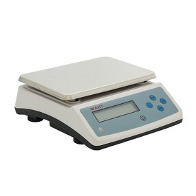 Electronic Weighing Scale Manufacturer - 1g 0.1g High Precision Industrial Table Bench Scale RS232 Table Top Balance Electronique