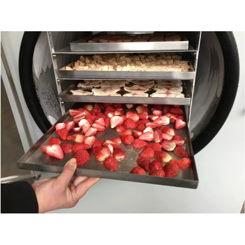 Freeze-drying Equipment Manufacturer - Industrial Food Fruit Vacuum Freeze Dryer Household Vegetable Freeze Dryer