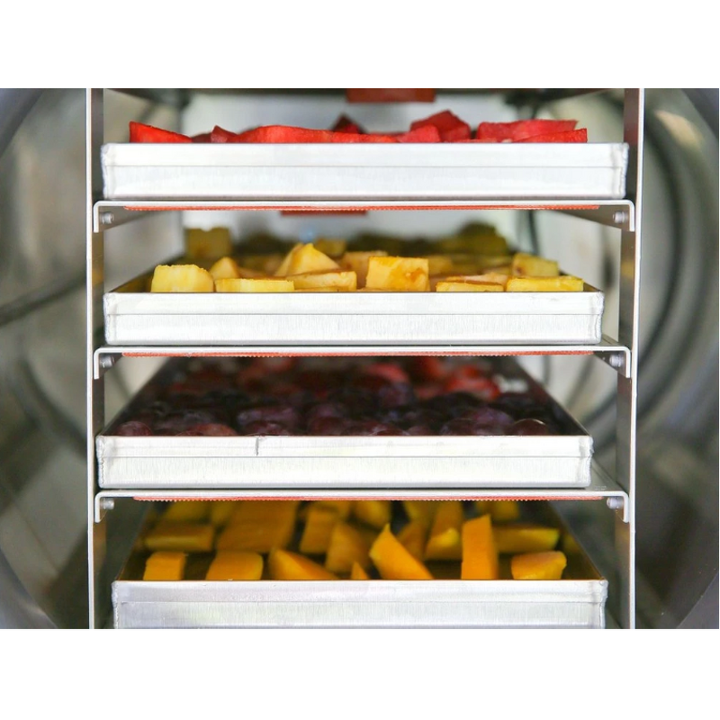 Freeze-drying Equipment Manufacturer - Industrial Food Fruit Vacuum Freeze Dryer Household Vegetable Freeze Dryer