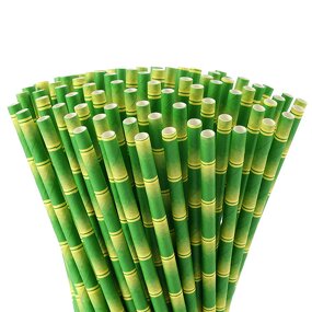 Paper Straw Manufacturer - Promotion Disposable Bamboo for Drinking