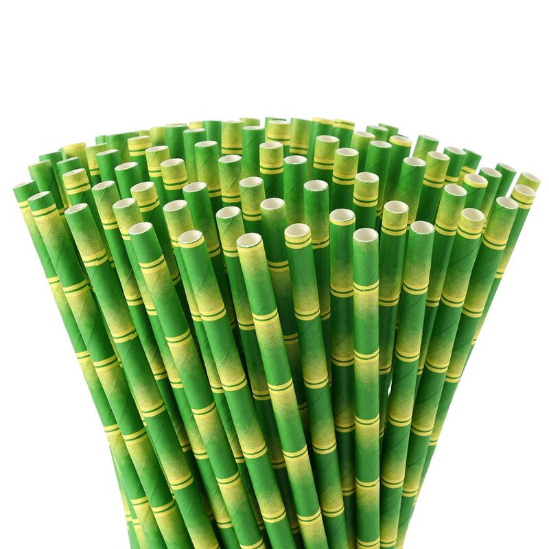 Paper Straw Manufacturer - Promotion Disposable Bamboo for Drinking