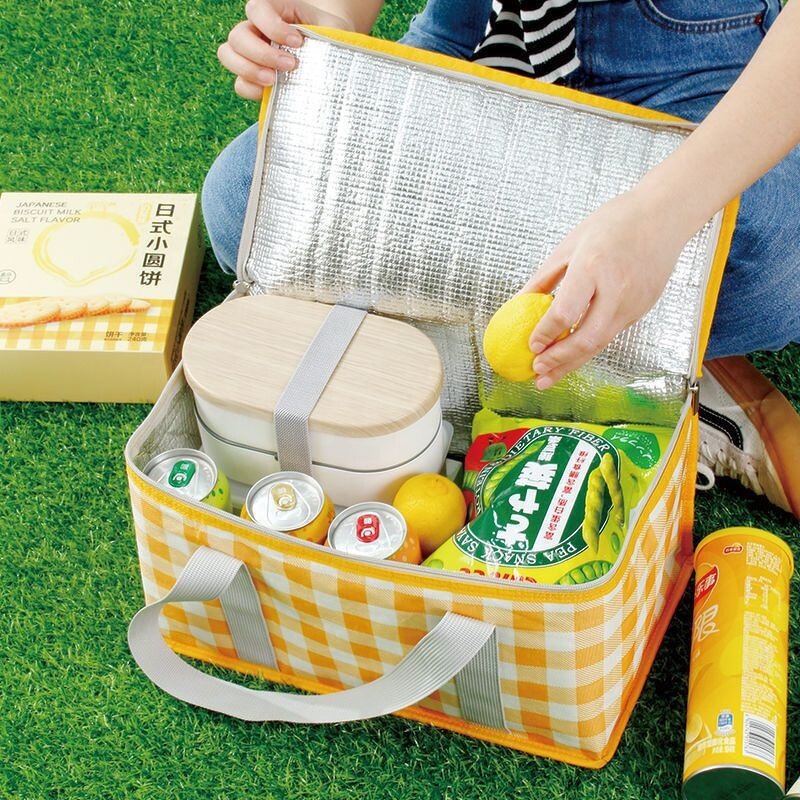 Cooler Lunch Bags Manufacturer - Check Wholesale Large Capacity Fashionable Picnic Camping