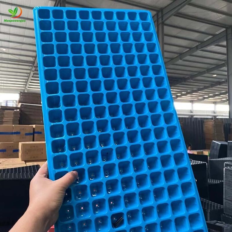 Garden Trays Manufacturer - 150cell 200 100 Holes for Seedlings Tomato Broccoli Tulip Germination