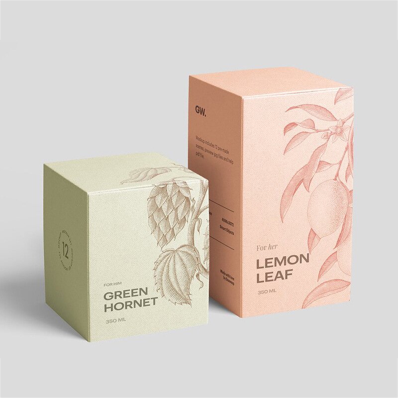 Packaging Box Manufacturer - Special Custom White Cardboard Skin Care Paper Tube Carton for Craft Use with Stamping and