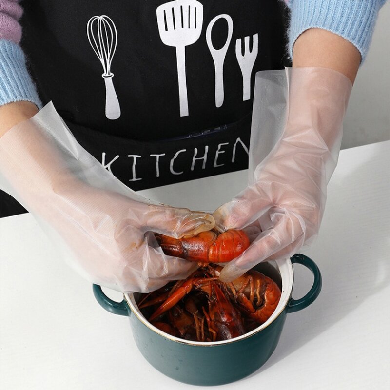 Disposable Gloves Manufacturer - CPE Waterproof Oil-proof for Household Food Catering Dishwashing