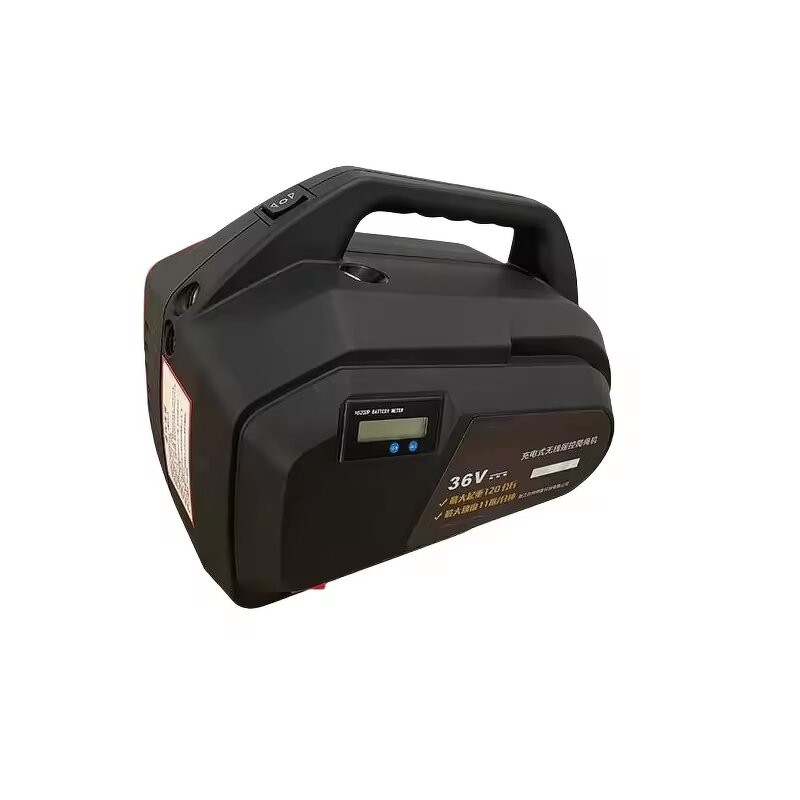 Portable Electric Crane Manufacturer - Rope Lifting Hoist Machine with Wireless Remote Control