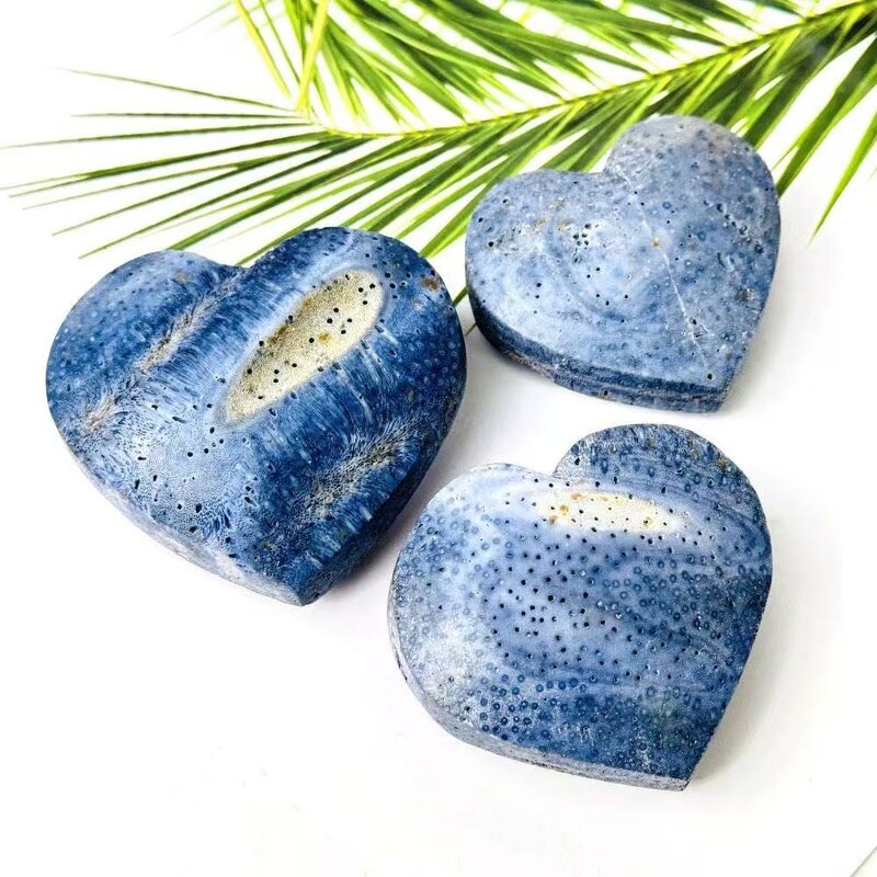 Blue Coral Fossil Heart Carvings Manufacturer - Crystal Craft for Home Office Decor