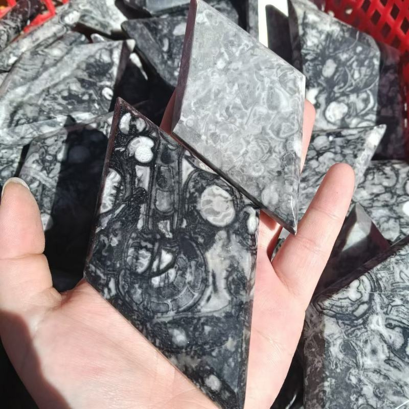 Ammonite Fossil Stone Diamond Manufacturer - Wholesale High Quality Healing Crystal Quartz Natural for Decoration