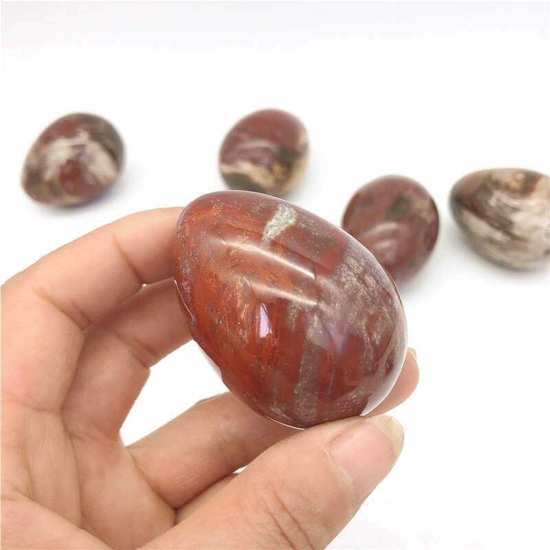 Petrified Wood Egg Manufacturer - Wholesale Natural Polished Wood Fossil for Decoration