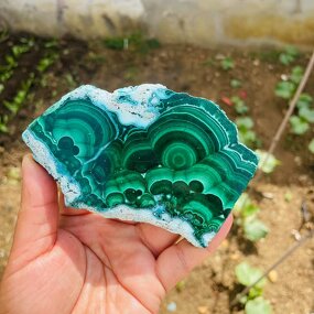 Malachite Crystal Wafers Manufacturer - Wholesale High Quality Feng Shui Style Carved Polished Mineral Specimen