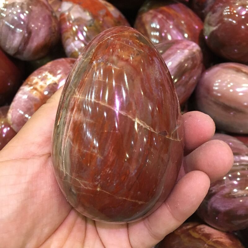 Petrified Wood Egg Manufacturer - Wholesale Natural Polished Wood Fossil for Decoration