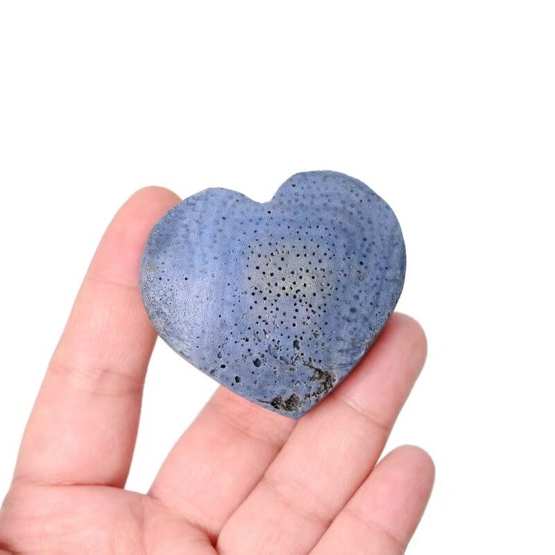 Blue Coral Fossil Heart Carvings Manufacturer - Crystal Craft for Home Office Decor