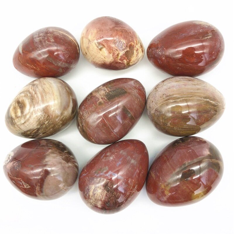 Petrified Wood Egg Manufacturer - Wholesale Natural Polished Wood Fossil for Decoration
