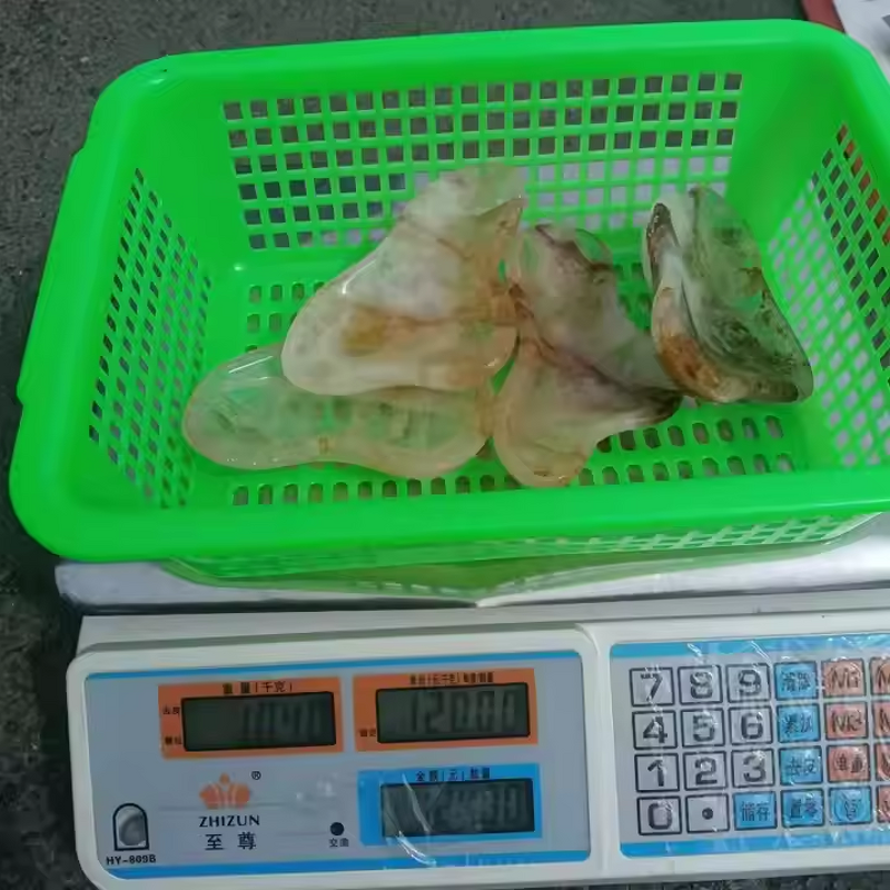 Golden Healer Crystal Quartz Bowl Manufacturer - Wholesale Natural Freeform High Quality Healing for Decoration