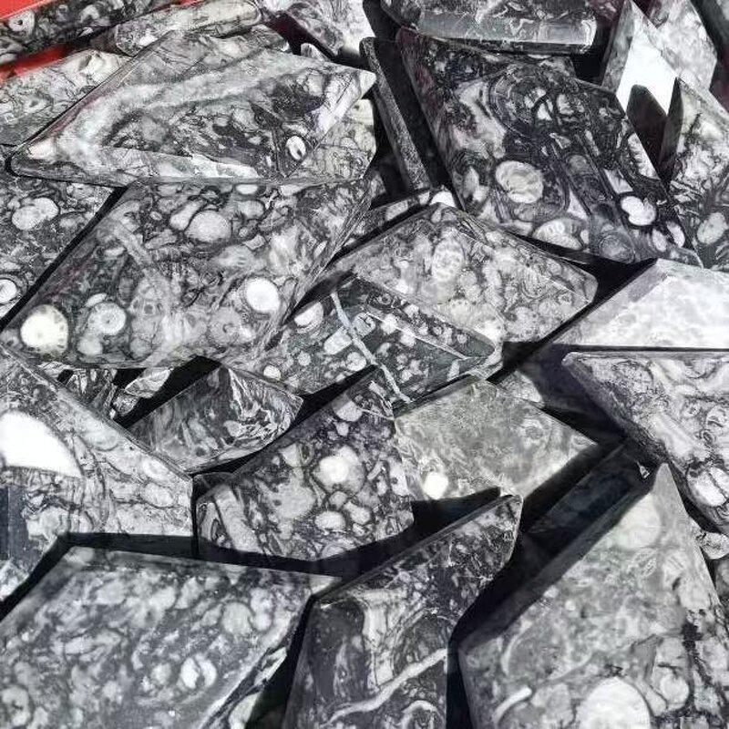 Ammonite Fossil Stone Diamond Manufacturer - Wholesale High Quality Healing Crystal Quartz Natural for Decoration