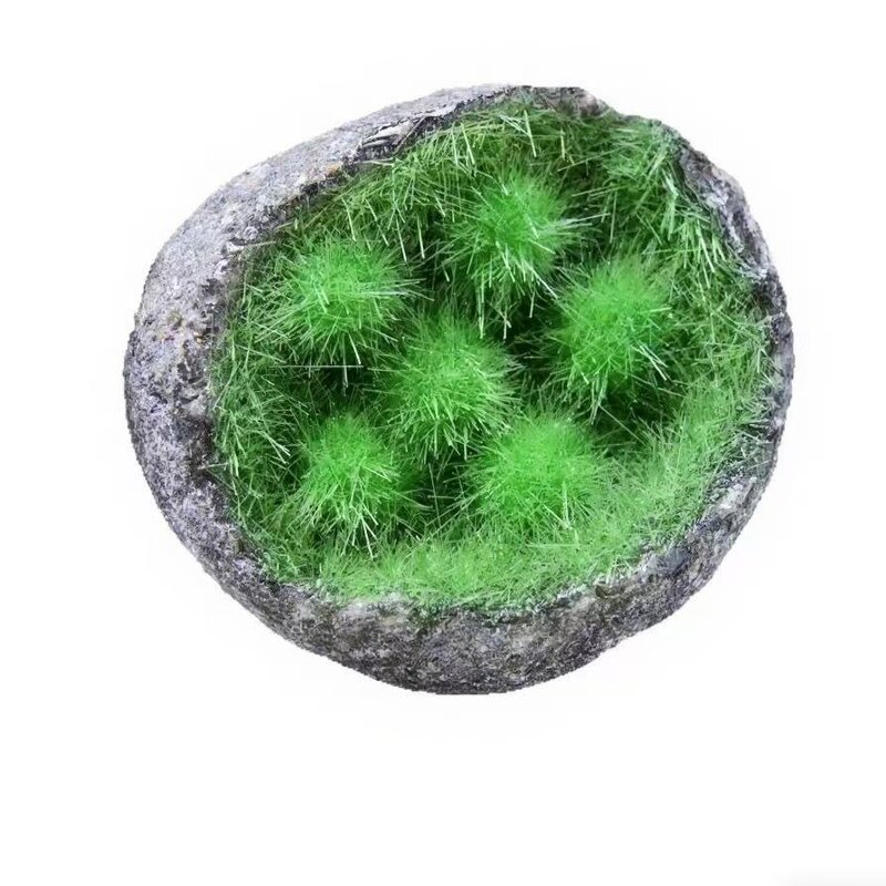 Green Rutilated Quartz Fluffy Needle-Ball Manufacturer - Crystal Geode Creative Desktop Decoration