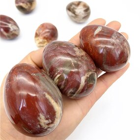 Petrified Wood Egg Manufacturer - Wholesale Natural Polished Wood Fossil for Decoration