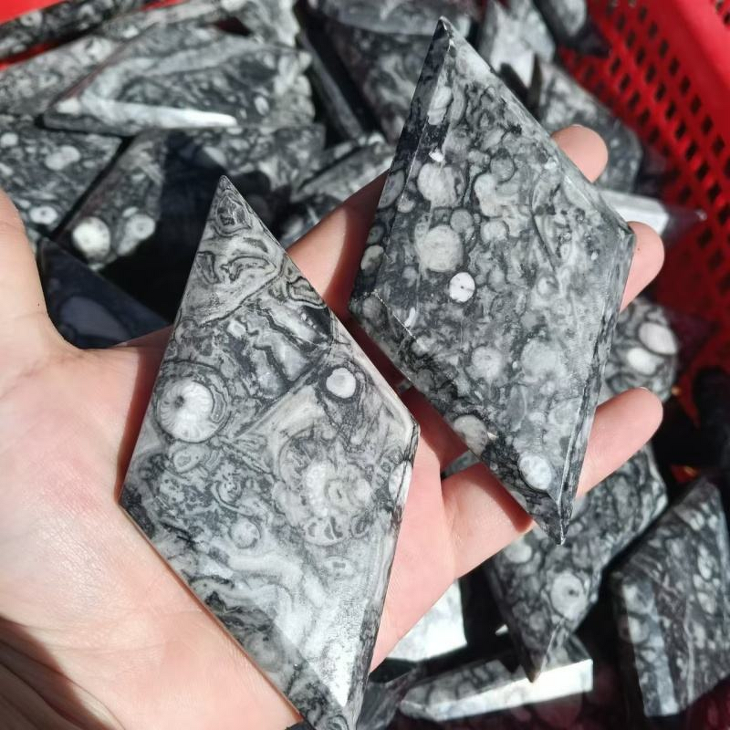 Ammonite Fossil Stone Diamond Manufacturer - Wholesale High Quality Healing Crystal Quartz Natural for Decoration