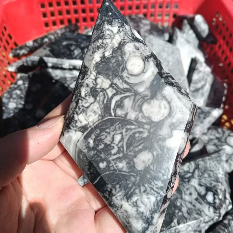 Ammonite Fossil Stone Diamond Manufacturer - Wholesale High Quality Healing Crystal Quartz Natural for Decoration