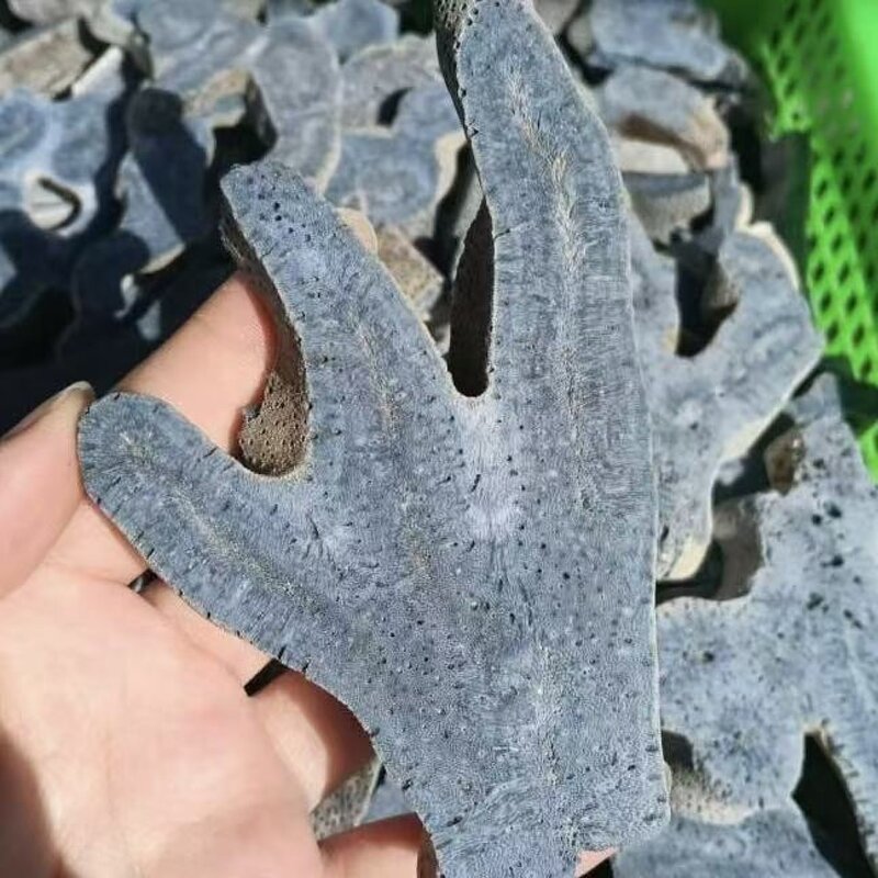 Blue Coral Jade Quartz Crystal Manufacturer - Wholesale High Quality Freeform for Decorative Healing