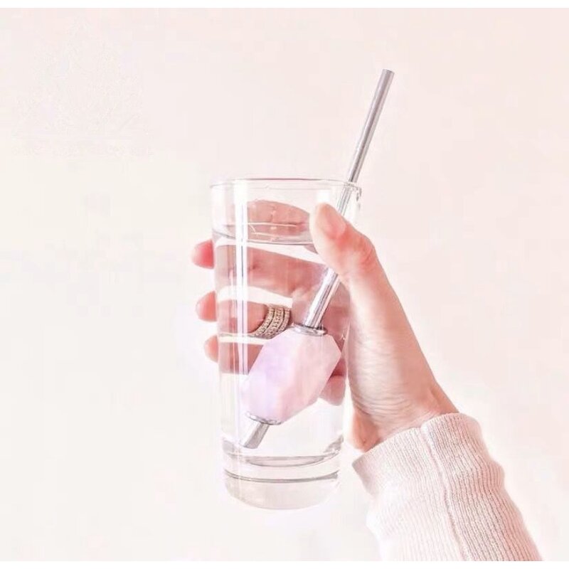 Stainless Steel Crystal Straw Manufacturer - High Temperature with Brush