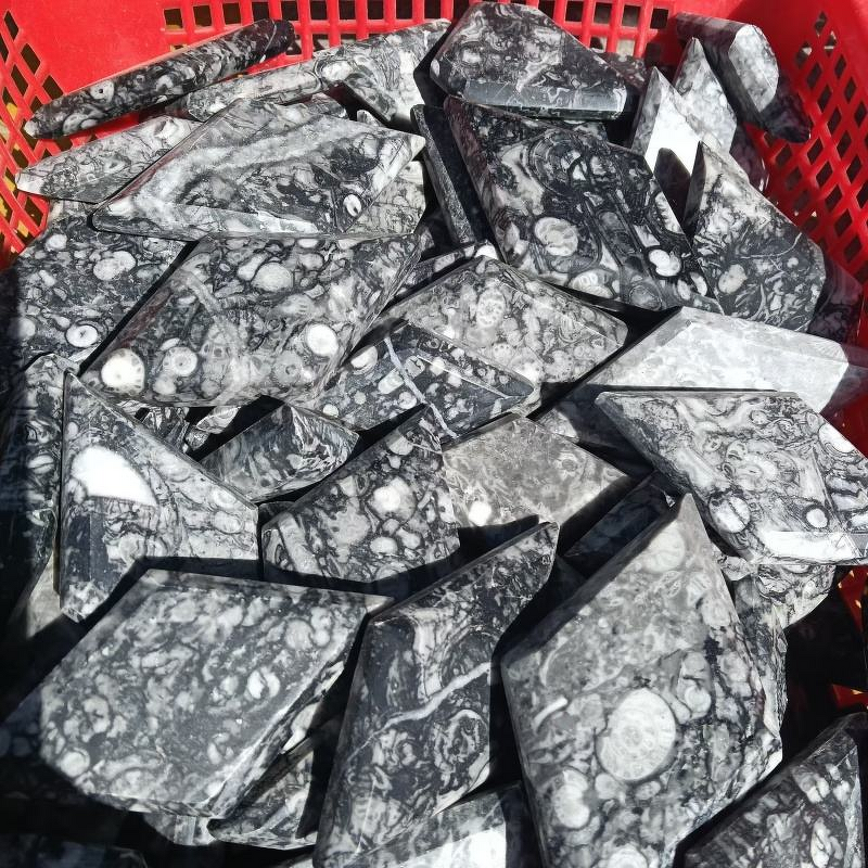 Ammonite Fossil Stone Diamond Manufacturer - Wholesale High Quality Healing Crystal Quartz Natural for Decoration