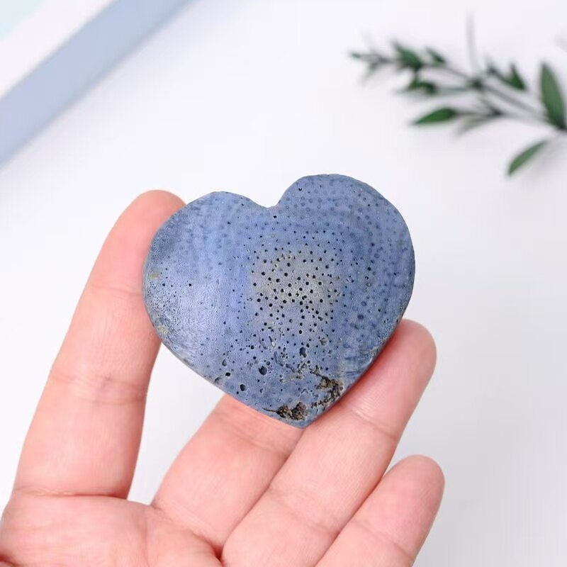 Blue Coral Fossil Heart Carvings Manufacturer - Crystal Craft for Home Office Decor