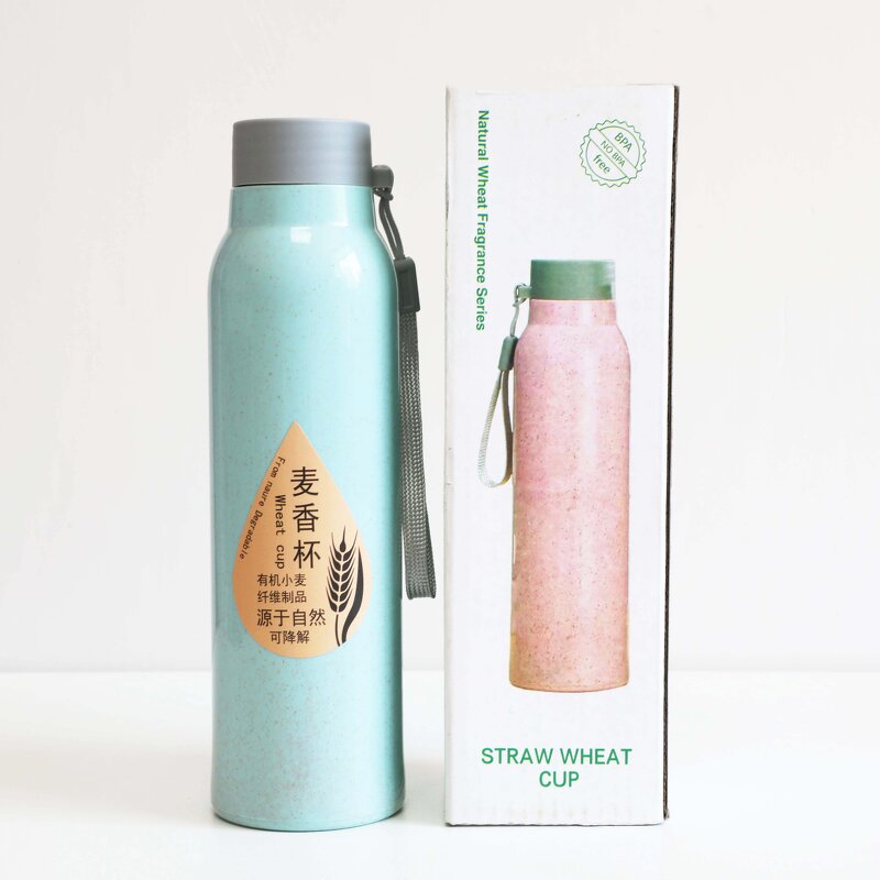 Wheat Straw Glass Water Bottle Manufacturer - High Quality Promotion Gift 12oz Bpa Free Portable Ivory Double Wall with Strap Logo