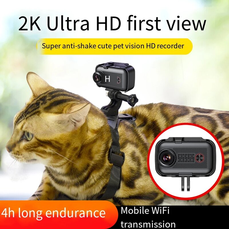 Pet Sports Camera Manufacturer - HD 2K Wireless WiFi App Rechargeable Dog Cat Collar Video Records Birthday Gift