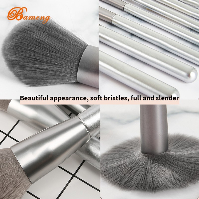 Makeup Brush Set Supplier - 8 Pcs Silver With Case