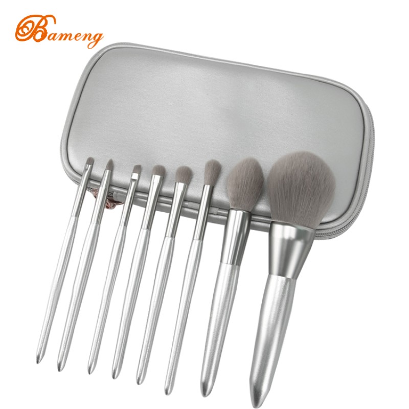 Makeup Brush Set Supplier - 8 Pcs Silver With Case