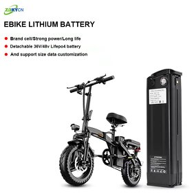 Battery Pack Manufacturer - Wholesale 48V-60V 10Ah-20Ah LiFePo4 for Electric Bicycle