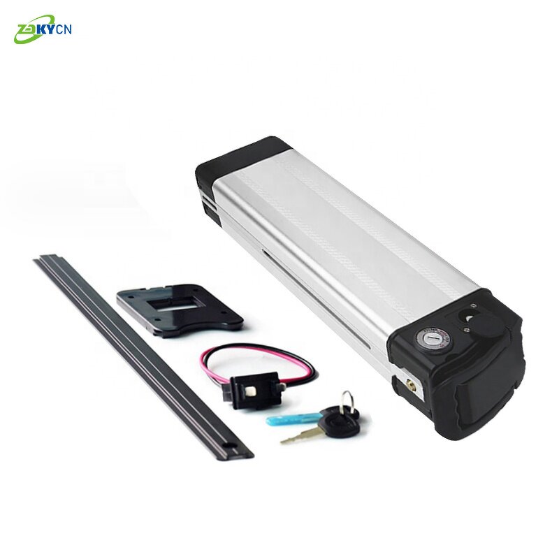 Lithium Ion Battery Packs Manufacturer - 36V-60V 10Ah-20Ah Rechargeable LiFePo4 for Electric Bicycle