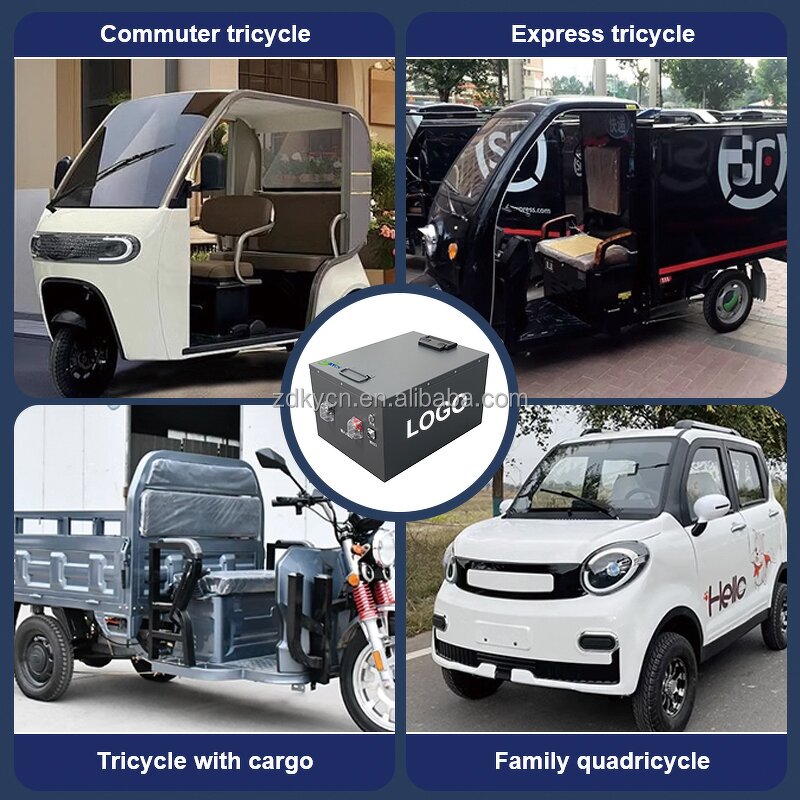 Lithium Ion Battery Pack Manufacturer - Warehouse Stock 48V Lifepo4 55Ah-330Ah for Tricycles
