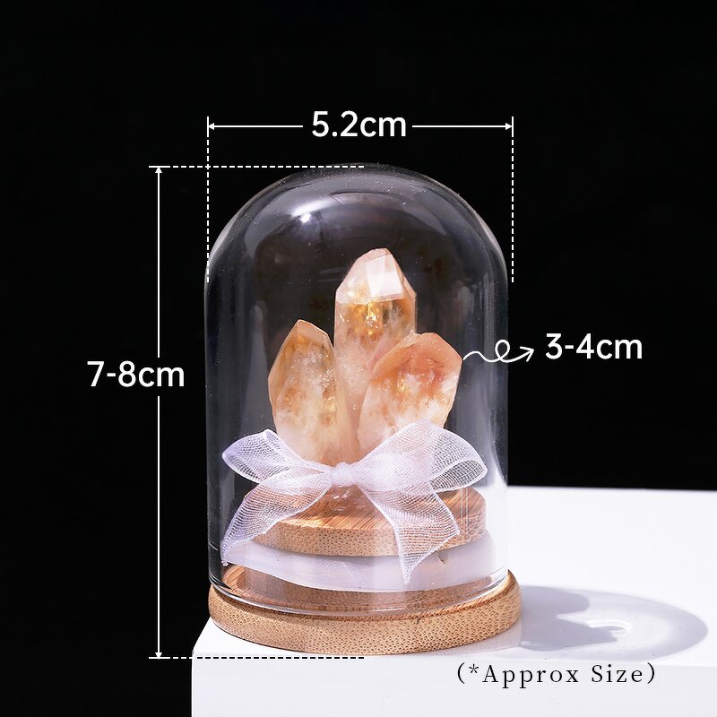 Natural Citrine Amethyst Cluster Bottled Crafts - Raw Stone Crystal Mineral Glass Display