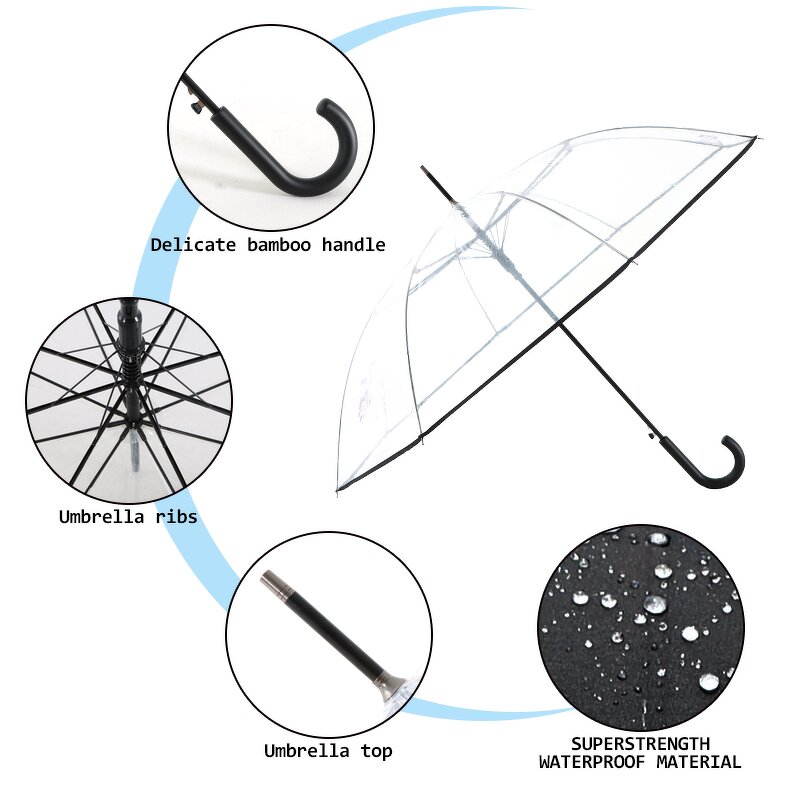 Folding Umbrella Manufacturer - Small Daisy Clear for Women Girls Paraguas Mujer Travel Flower Transparent