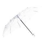 Transparent umbrella