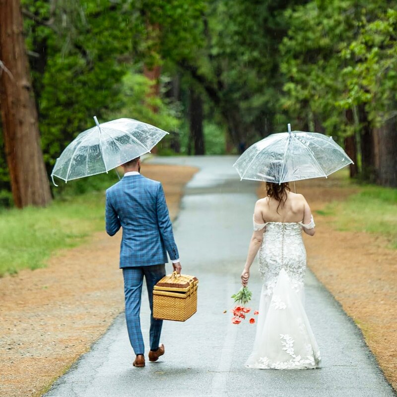 Wedding Umbrella Manufacturer - Wholesale Custom Clear Transparent Windproof Outdoor with Semi-Automatic J Handle