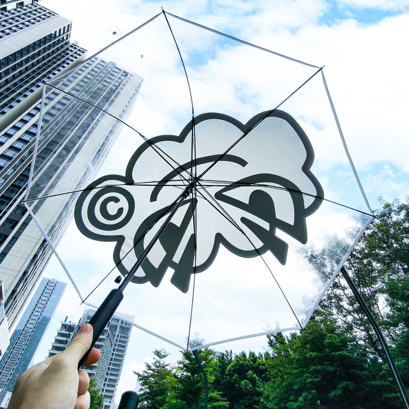 Stick Umbrella Manufacturer - New Design Custom Printing Strong Windproof Transparent with Lovely Pattern