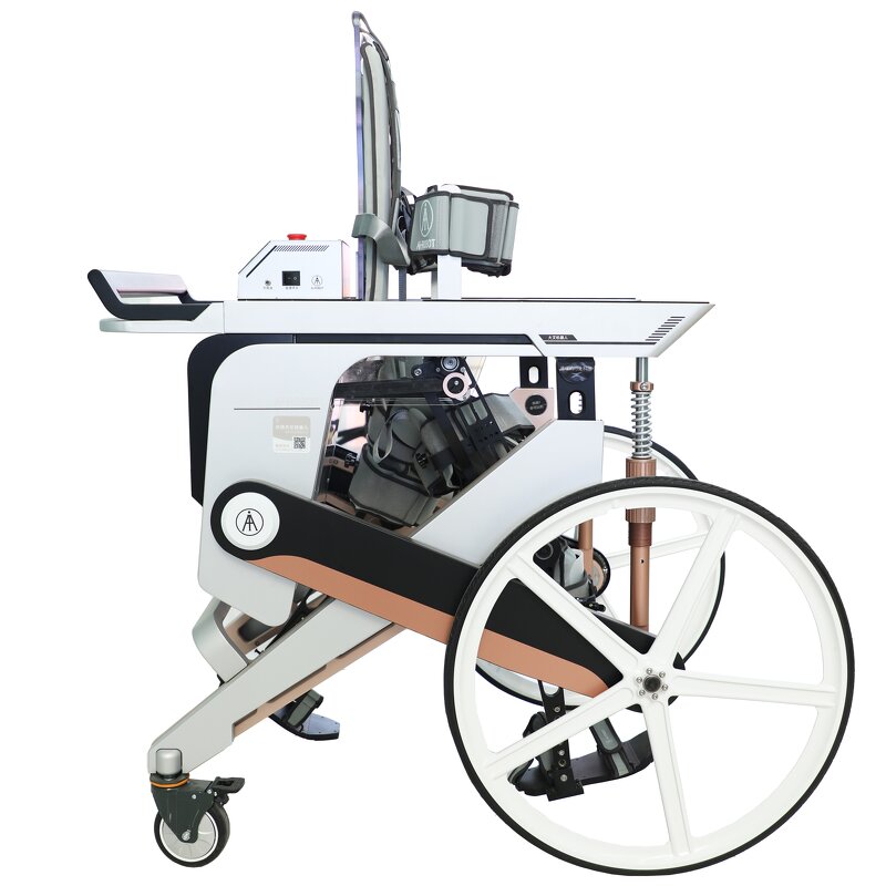 Rehabilitation Equipment - Spinal Cord Injury Recovery Paraplegia Stroke Hemiparesis Robot Walking Assist Aid Gait Trainer