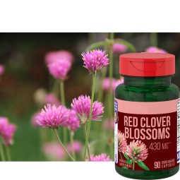 Red Clover Capsules Manufacturer - Factory Supply Plant Supplements Blossoms