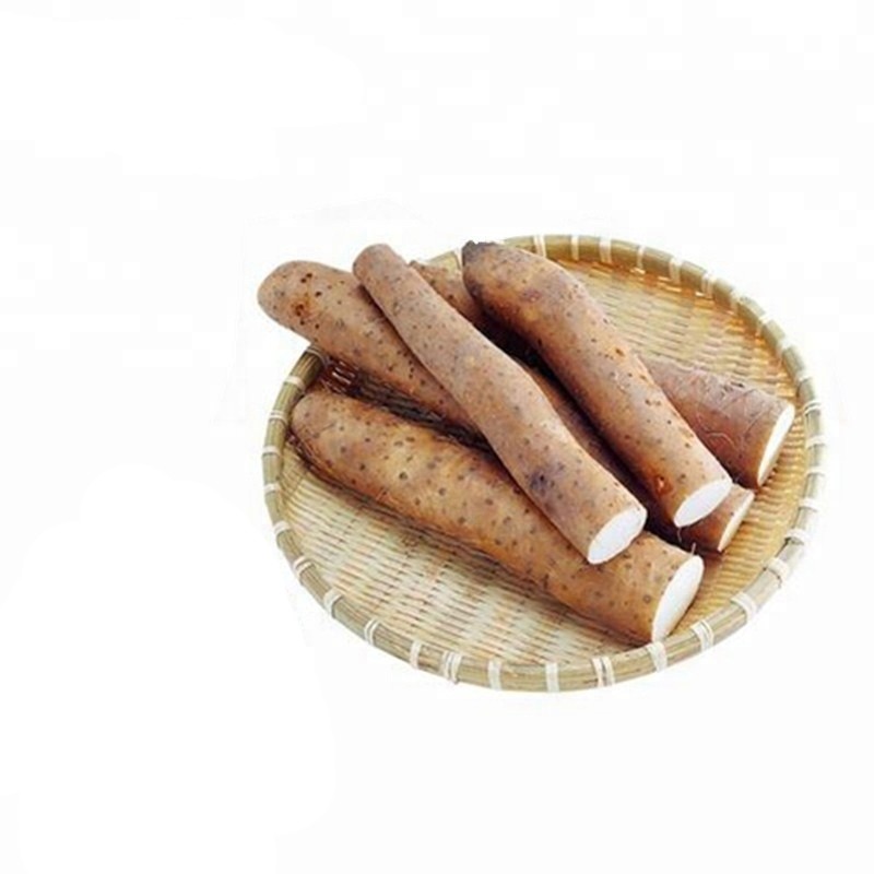 Wild Yam Capsules Factory - Factory Price Health Supplement Nutrition