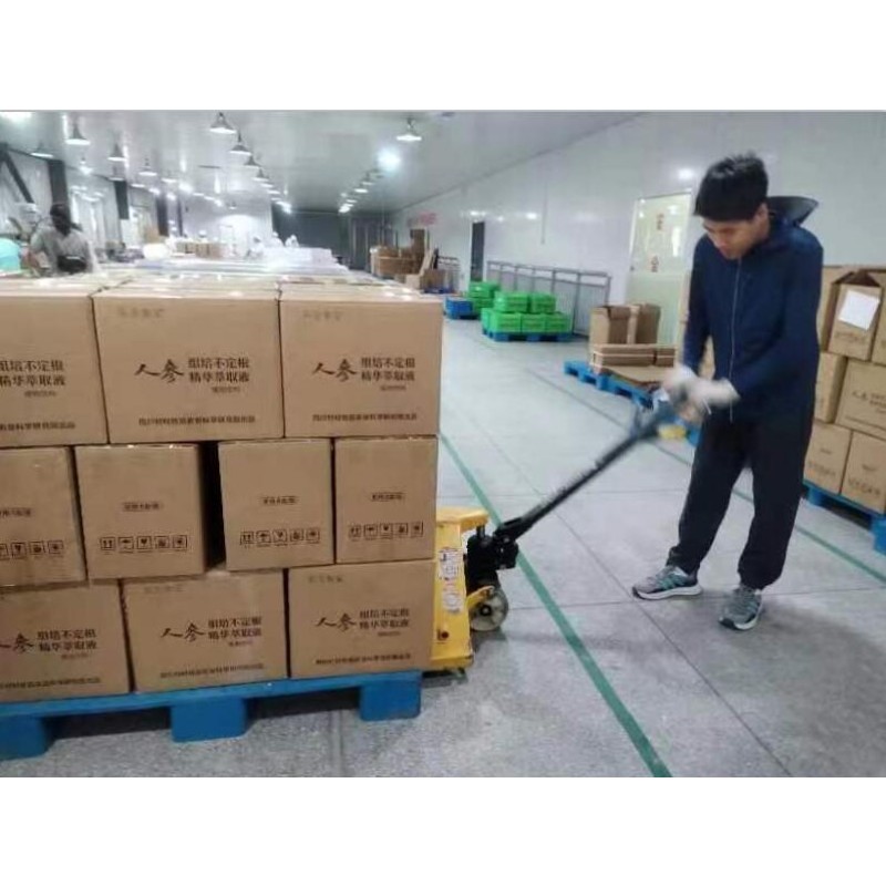 Mullein Leaf Drops Manufacturer - OEM Respiratory Function Alcohol-free Syrup