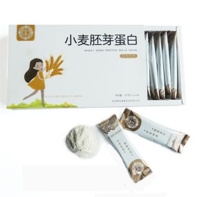 Wheat Germ Protein Powder Manufacturer - Solid Drink Nutritious Breakfast Meal