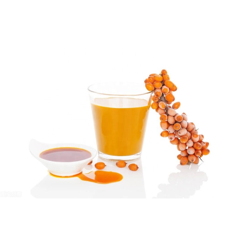 Seabuckthorn Puree Factory - Bulk Supply Natural Sea Buckthorn Liquid Beverage